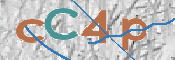 この文字を入力してください