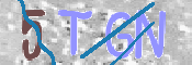 この文字を入力してください