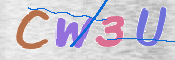 この文字を入力してください