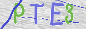 この文字を入力してください