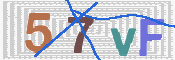 この文字を入力してください