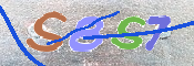 この文字を入力してください