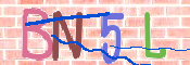 この文字を入力してください