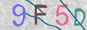 この文字を入力してください
