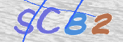 この文字を入力してください