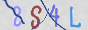 この文字を入力してください