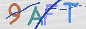 この文字を入力してください