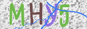 この文字を入力してください
