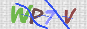 この文字を入力してください