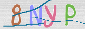 この文字を入力してください