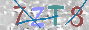 この文字を入力してください