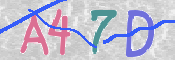 この文字を入力してください
