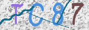 この文字を入力してください