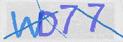 この文字を入力してください