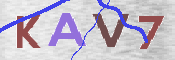 この文字を入力してください