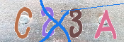 この文字を入力してください