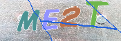 この文字を入力してください