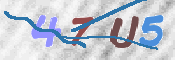 この文字を入力してください