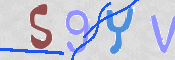 この文字を入力してください