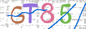 この文字を入力してください