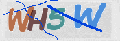 この文字を入力してください