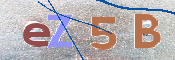 この文字を入力してください