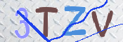 この文字を入力してください