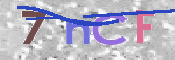 この文字を入力してください