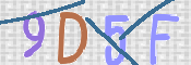 この文字を入力してください