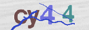 この文字を入力してください