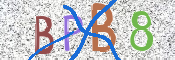 この文字を入力してください