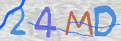 この文字を入力してください