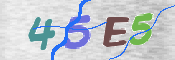 この文字を入力してください