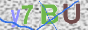 この文字を入力してください