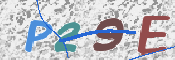 この文字を入力してください