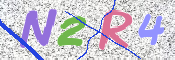 この文字を入力してください