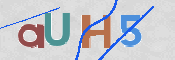 この文字を入力してください