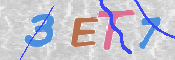 この文字を入力してください