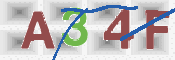 この文字を入力してください