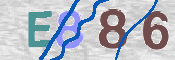 この文字を入力してください