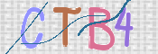 この文字を入力してください