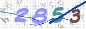 この文字を入力してください