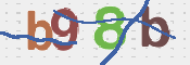この文字を入力してください