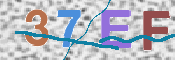 この文字を入力してください