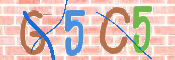 この文字を入力してください
