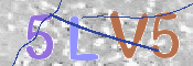 この文字を入力してください