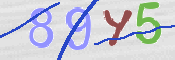 この文字を入力してください