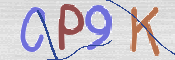 この文字を入力してください