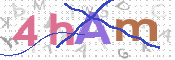 この文字を入力してください
