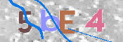 この文字を入力してください